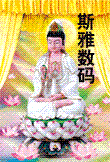 开全景奇画制作店 千元投资即可创业